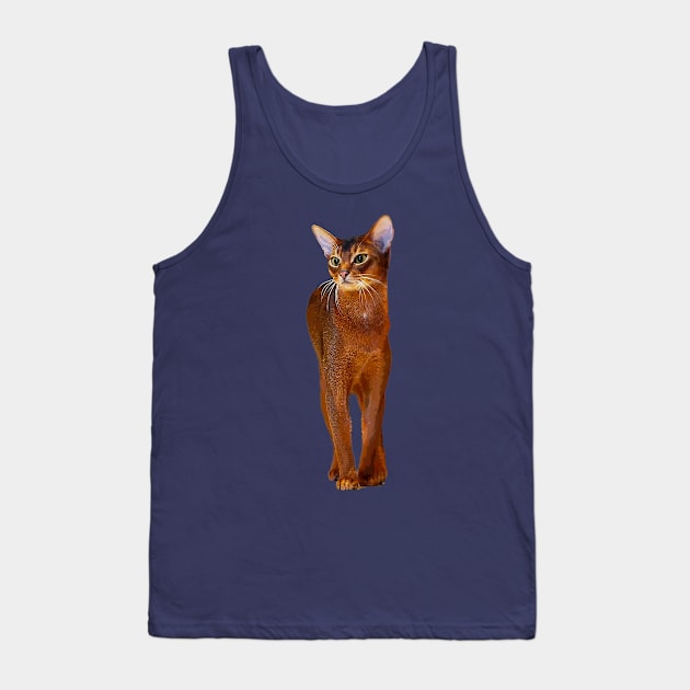 Abyssinian Cat Kitten Tank Top by Elarex